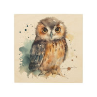 Cute owl in water color