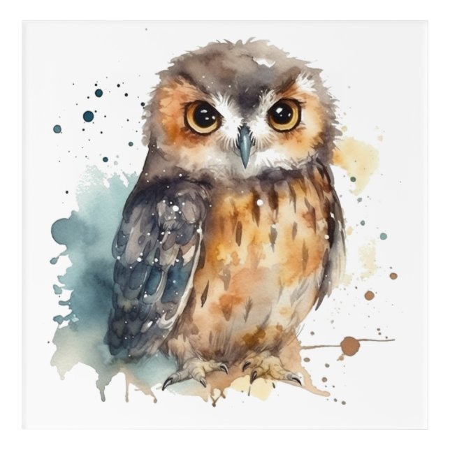 Cute owl in watercolor acrylic print (Front)