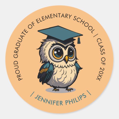 Cute Owl Kids  Graduation  Back To School Orange Classic Round Sticker