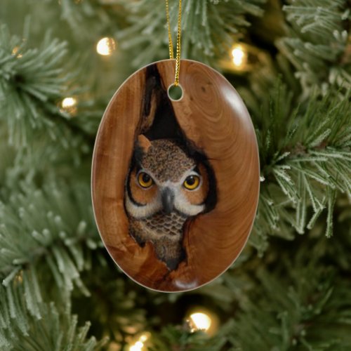 Cute Owl Nest woodland Christmas 2022 wildlife Ceramic Ornament