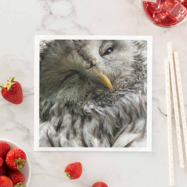 CUTE OWL PAPER DINNER NAPKINS (Insitu)