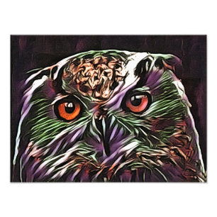 CUTE OWL PHOTO PRINT