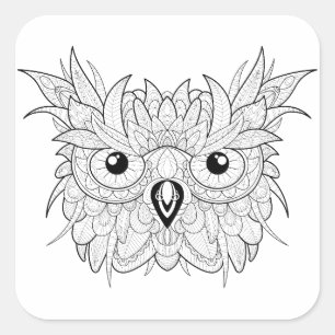 Cute Owl Portrait Doodle Square Sticker