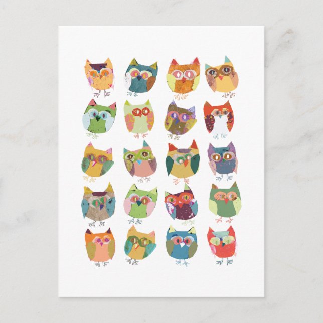 cute Owl post card, colorful owls, owl lovers. Postcard (Front)