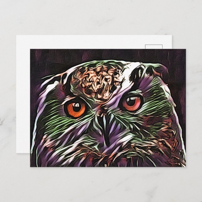 CUTE OWL POSTCARD (Front/Back)