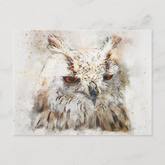 Cute owl postcard (Front)