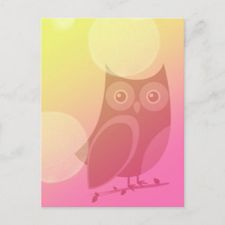Cute Owl Postcard