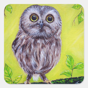 Cute Owl Square Sticker