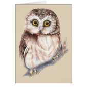 Cute Owl - Watercolor Bird Collection (Front)