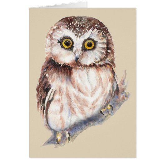 Cute Owl - Watercolor Bird Collection Cards (Front)