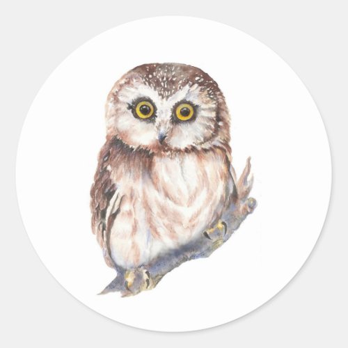 Cute Owl _ Watercolor Bird Collection Classic Round Sticker