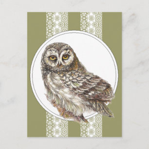 Cute Owl - Watercolor Bird, Wildlife, Nature Postcard