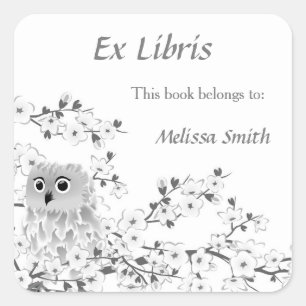 Cute Owl White Gray Ex Libris Add Name Square Sticker