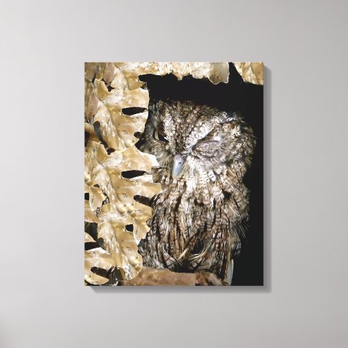 Cute Owl Wink Canvas Print