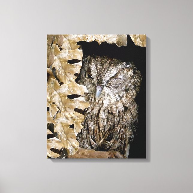Cute Owl Wink Canvas Print (Front)