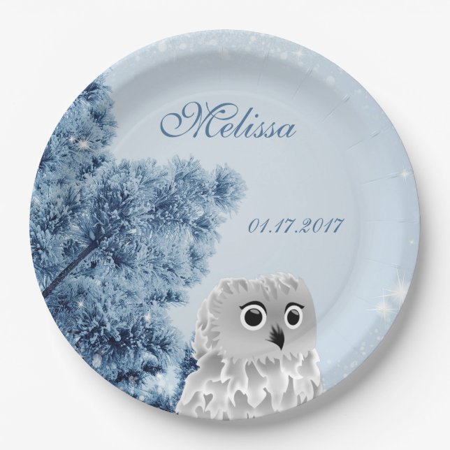 Cute Owl Winter Kids Custom Birthday Party Paper Plates (Front)