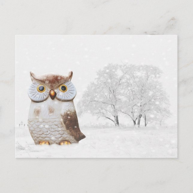 Cute Owl Wintry Snow Christmas Holiday Card (Front)