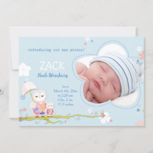 Cute Owls Blue Baby Boy Photo Birth Announcement