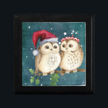 Cute Owls Christmas Gift Box<br><div class="desc">Cute Owls Christmas Gift Box</div>