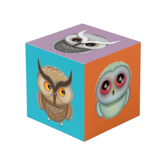 Cute Owls Photo Cube Kids Owl Lovers (Front Angled)