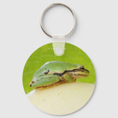 Cute Pacific Tree Frog on Summer Squash Keychain