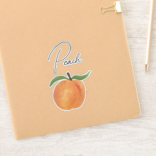 Cute Painted Peach Fruit Illustration Sticker