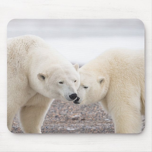 Cute Pair of Loving Polar Bears Mouse Pad (Front)