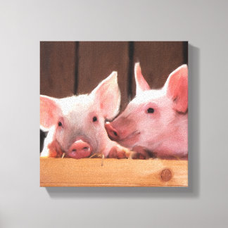 Cute Pair of Pigs Canvas Print