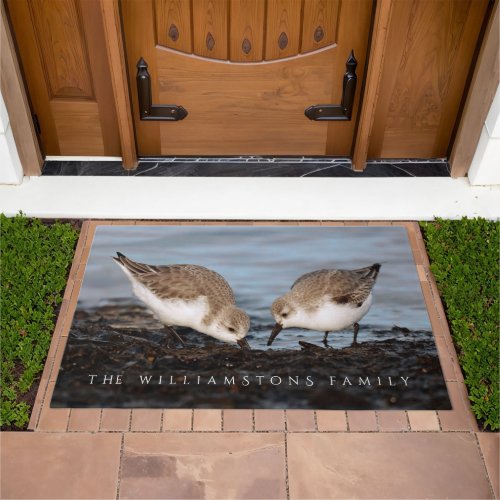 Cute Pair of Sanderlings Sandpipers Shares a Meal Doormat