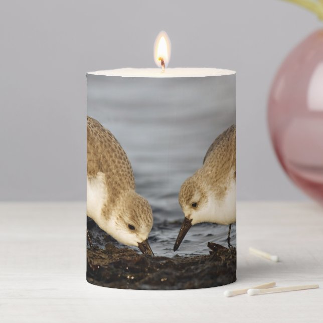 Cute Pair of Sanderlings Sandpipers Shares a Meal Pillar Candle (In Situ)