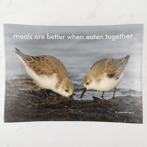 Cute Pair of Sanderlings Sandpipers Shares a Meal Trinket Tray