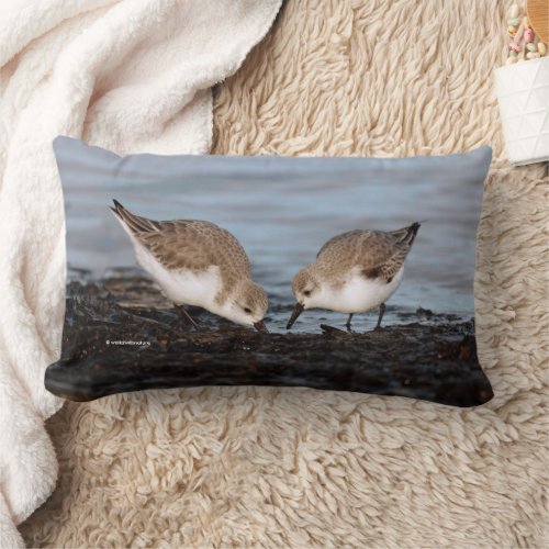 Cute Pair of Sanderlings Sandpipers Shares Lumbar Pillow