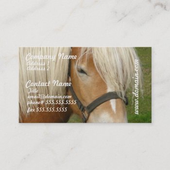 Cute Palomino Pony Business Cards by HorseStall at Zazzle