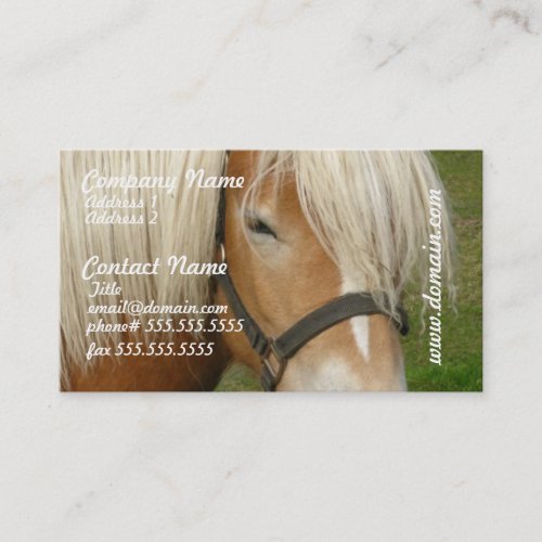 Cute Palomino Pony Business Cards