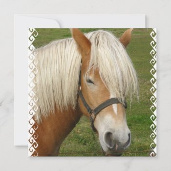 Cute Palomino Pony Invitations by HorseStall at Zazzle