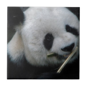 Cute Panda Bamboo Ceramic Tile