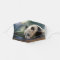Cute panda bear baby