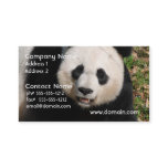 Cute Panda Bear Business Card