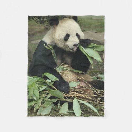 Cute Panda Bear Eating Leaves Fleece Blanket