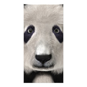 Cute Panda Bear Kawaii Animal Lover Perfect Gift Card