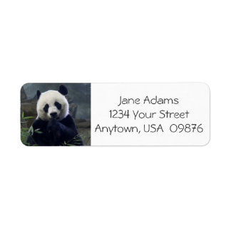 Cute Panda Bear, Personalized Label
