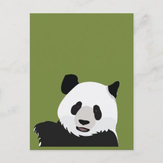 Cute Panda Bear