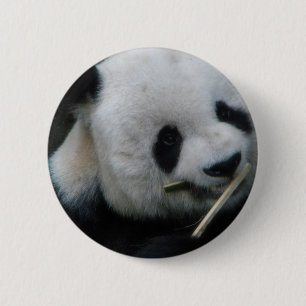 Cute Panda Button – Kawaii Panda Pin