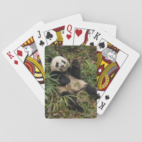 Cute Panda Eating Bamboo Poker Cards