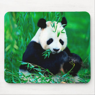 Cute Panda Mouse Pad