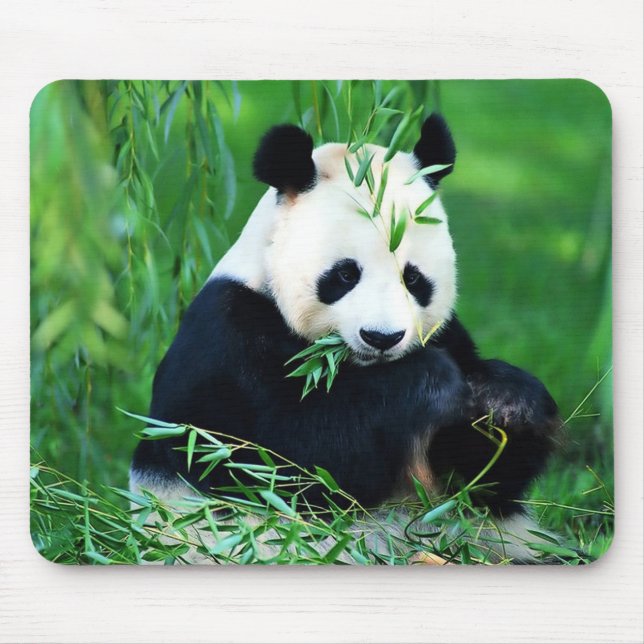 Cute Panda Mouse Pad (Front)