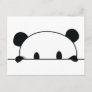Cute panda spy postcard