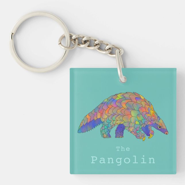 Cute Pangolin colorful illustration  Keychain (Front)