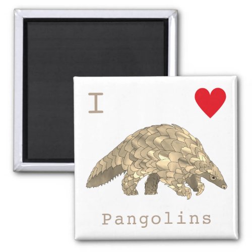 Cute Pangolin slogan  Magnet