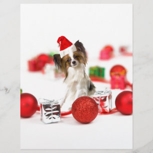 Cute Papillon Dog Christmas Santa Hat